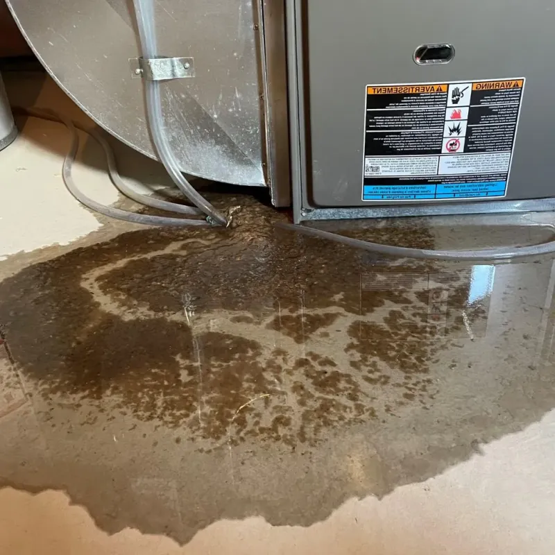 Pipe Burst and Leak Restoration in Gruver, TX