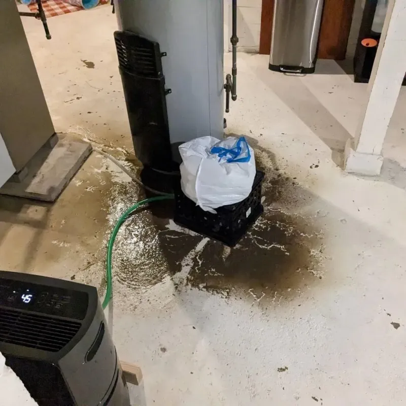Sewage Backup Cleanup Service in Gruver, TX